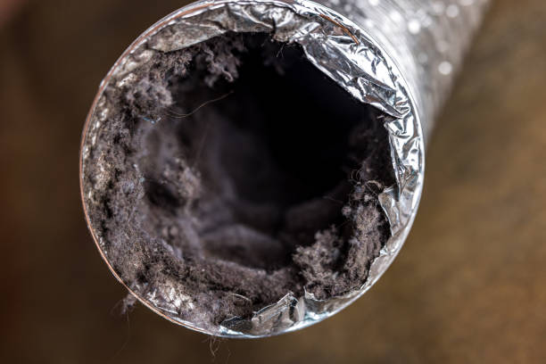 Best Industrial Air Duct Cleaning in David City, NE