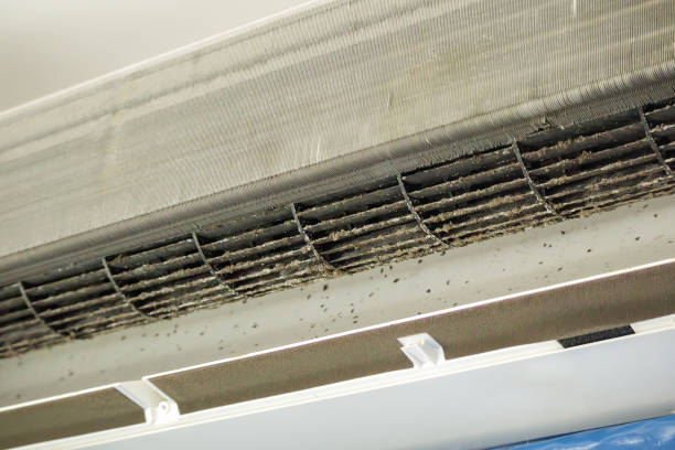 Best Commercial Air Duct Cleaning in David City, NE